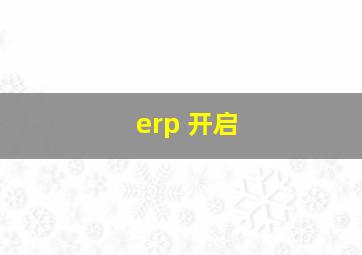 erp 开启